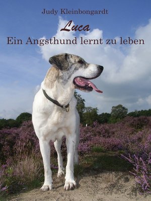 cover image of Luca